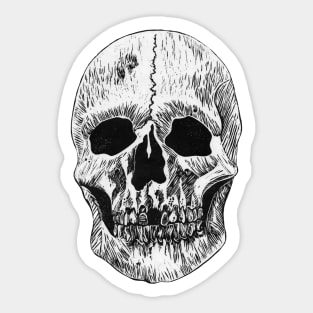 Skull Print - Anatomy Print - Skeleton Sticker